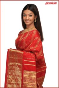 Wedding saree-Thicosilks